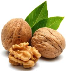 Walnut Oil
