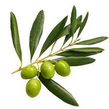 Featured Mild Ultra Premium Olive Oil