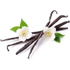 Vanilla Bean