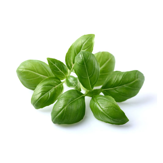 Basil Infused